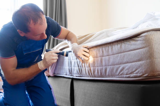 Best Fumigation Services  in Johnston City, IL